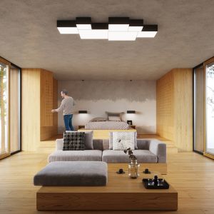 Таванна лампа HORUS 55 черна