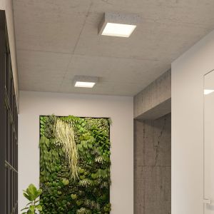 Таванна лампа RIZA concrete